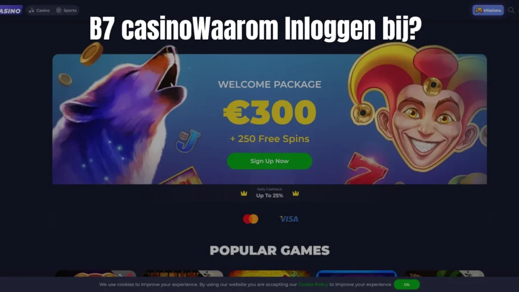 Waarom Inloggen Bij